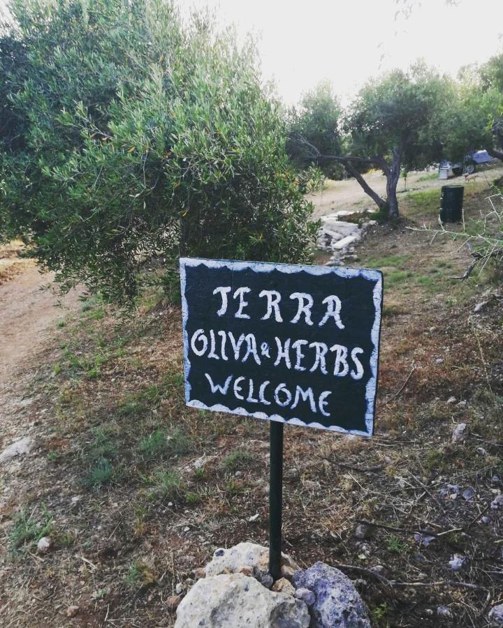 Terraoliva&Herbs Vátos 外观 照片